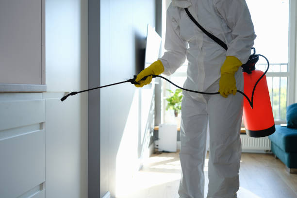 Best Residential Mold Removal  in Sour Lake, TX